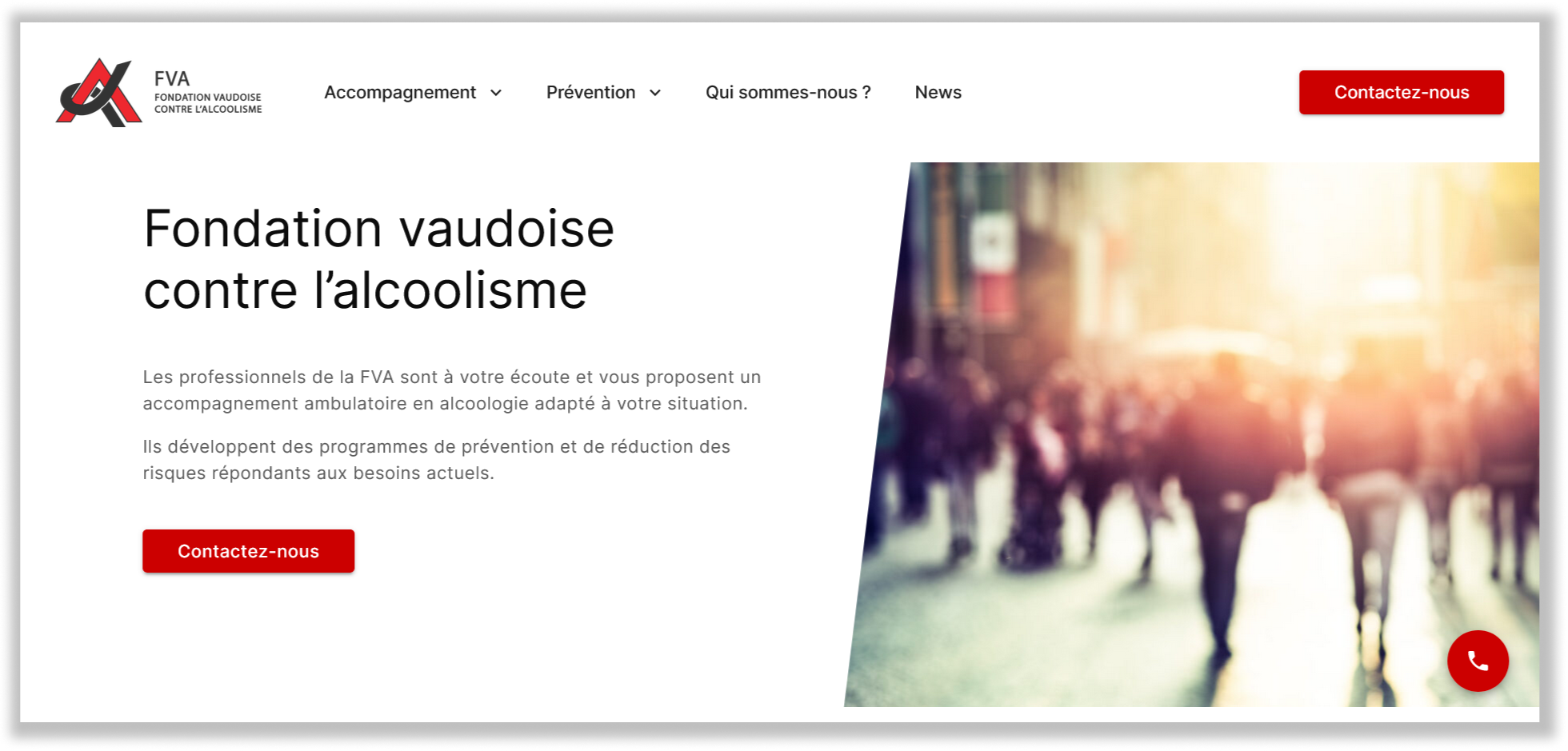 Image of the website FVA.ch